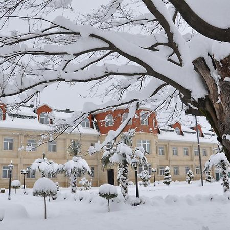 Vilesh Palace Hotel Masallı Exteriér fotografie