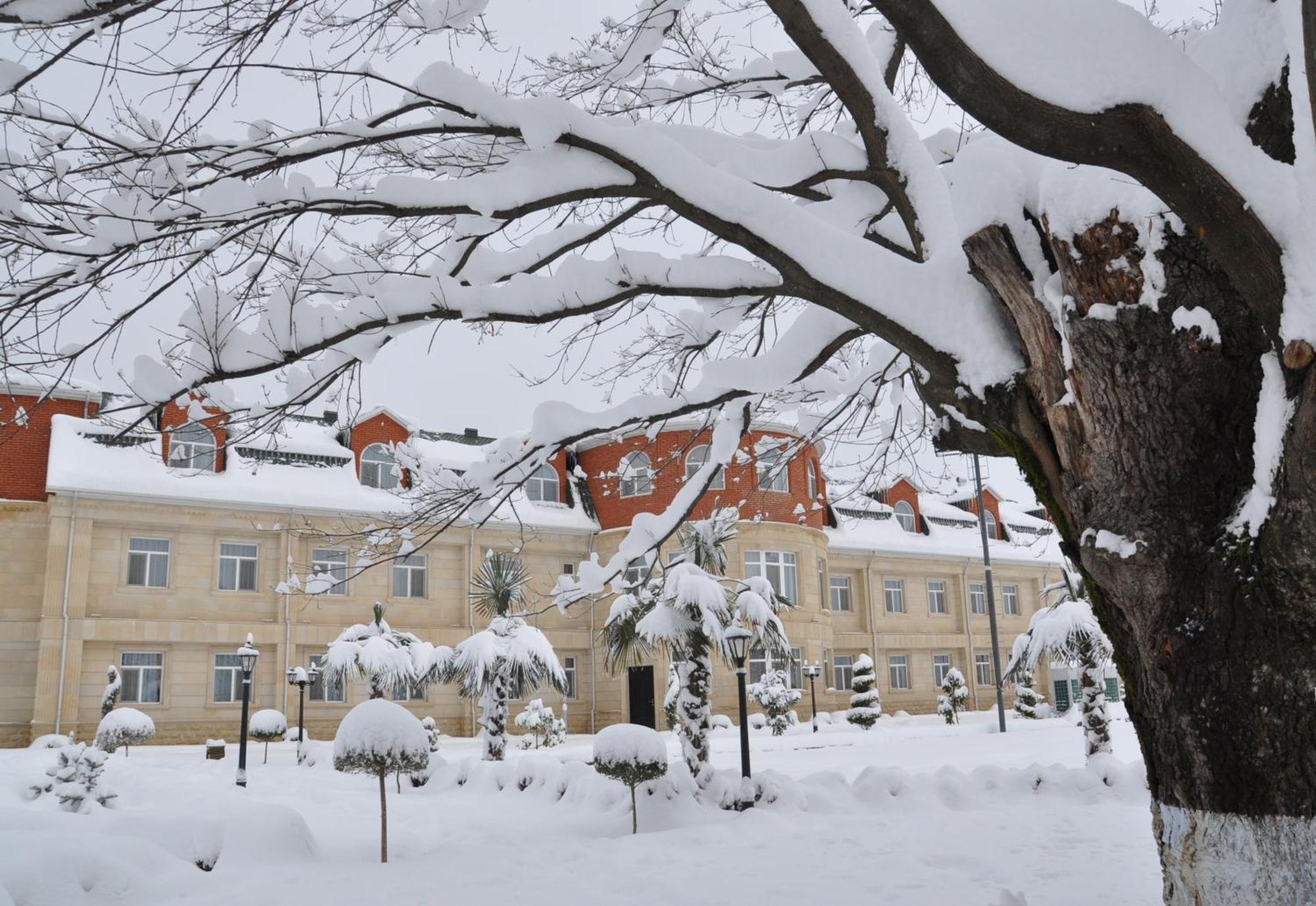 Vilesh Palace Hotel Masallı Exteriér fotografie